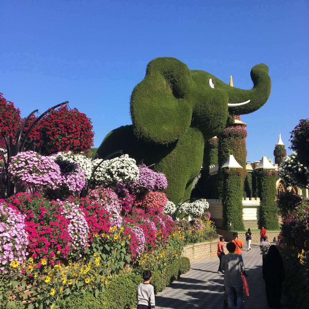 迪拜福建兴华超市
