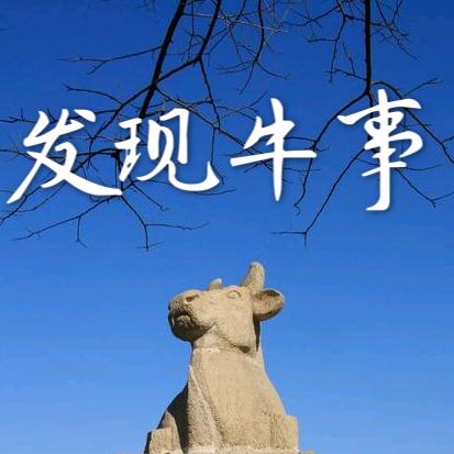 发现牛事