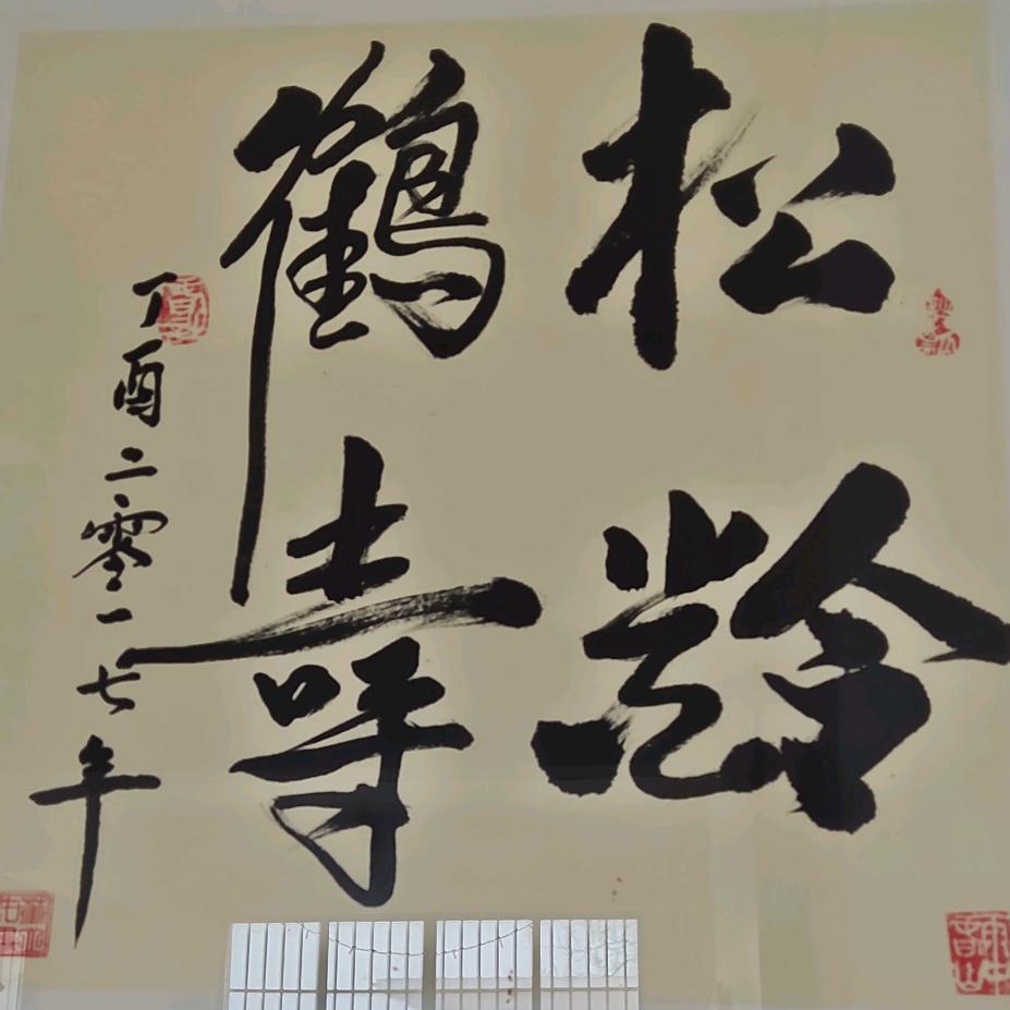 自由翱翔