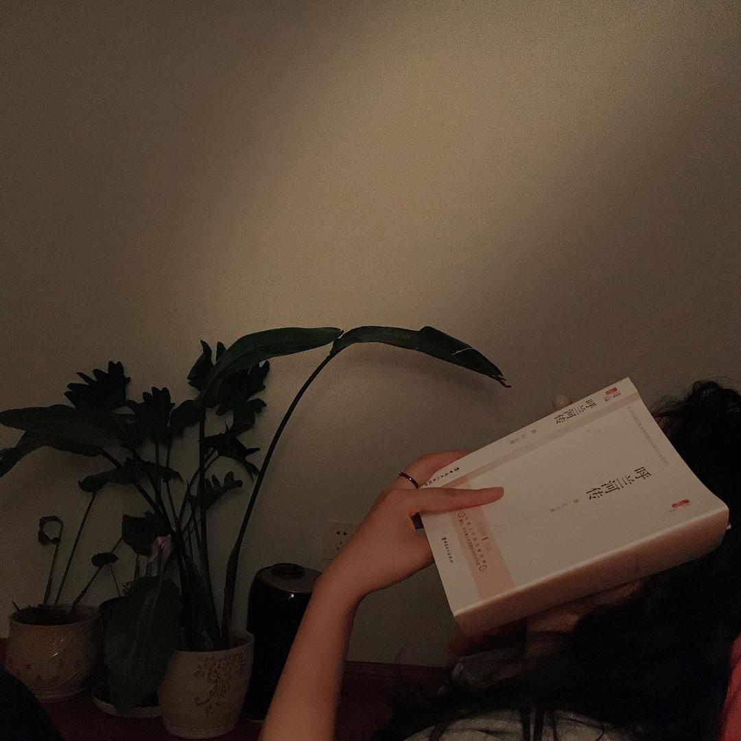 蛋蛋
