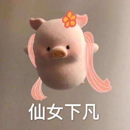 6g少女