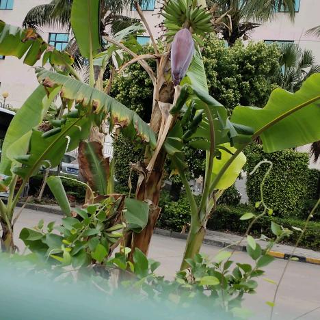 开心过好每一天！！