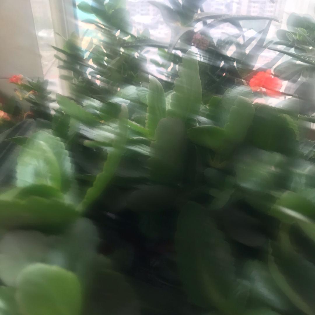 阿姐