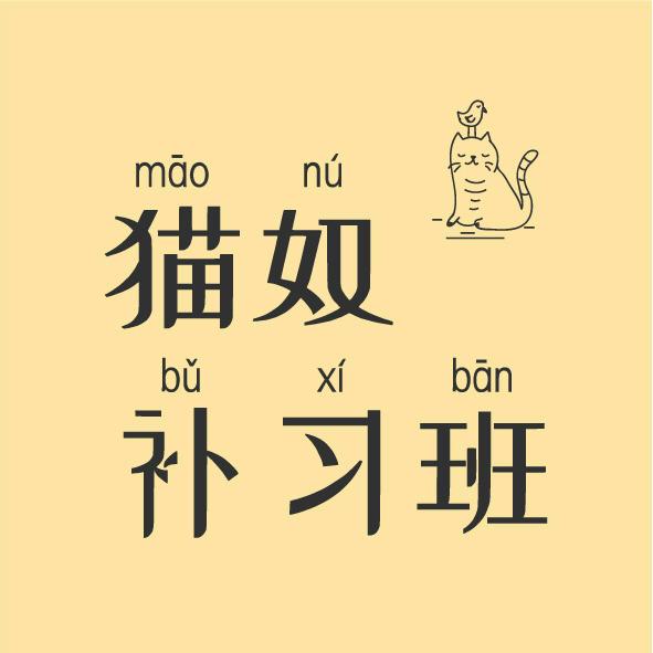 猫奴补习班