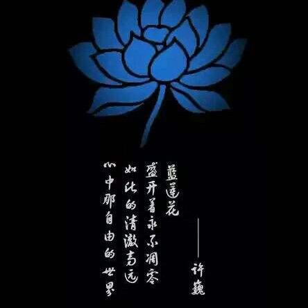 在人间凑数的群演