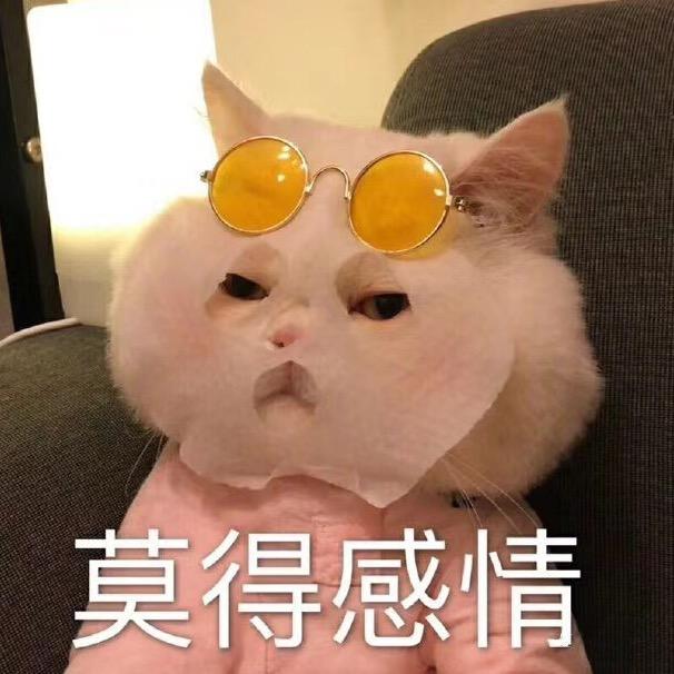多情雨