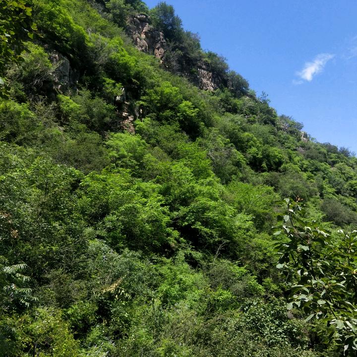 谢谢你来过❤️❤️❤️❤️❤️❤️