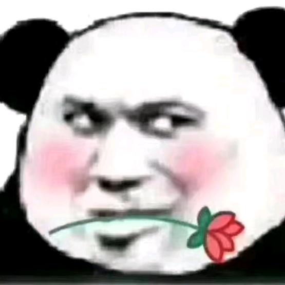 小琳琳