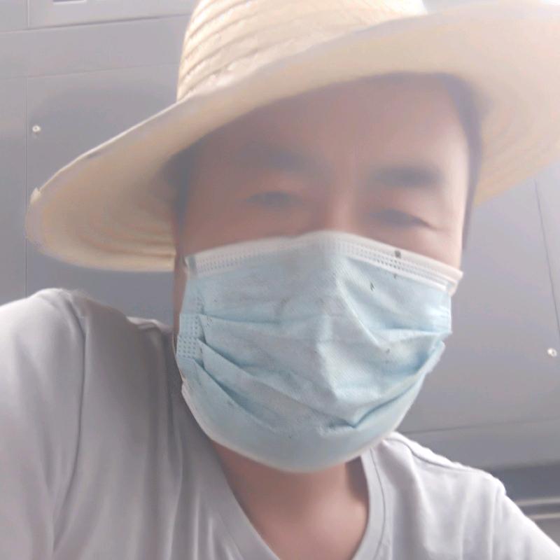 货运出租