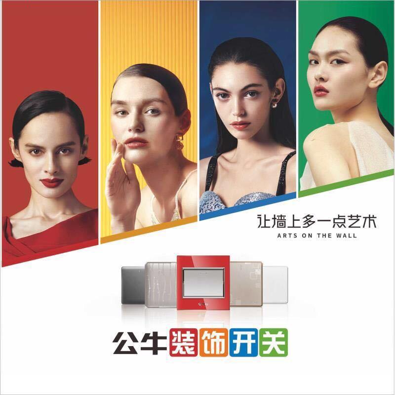 公牛集团  莆田总代