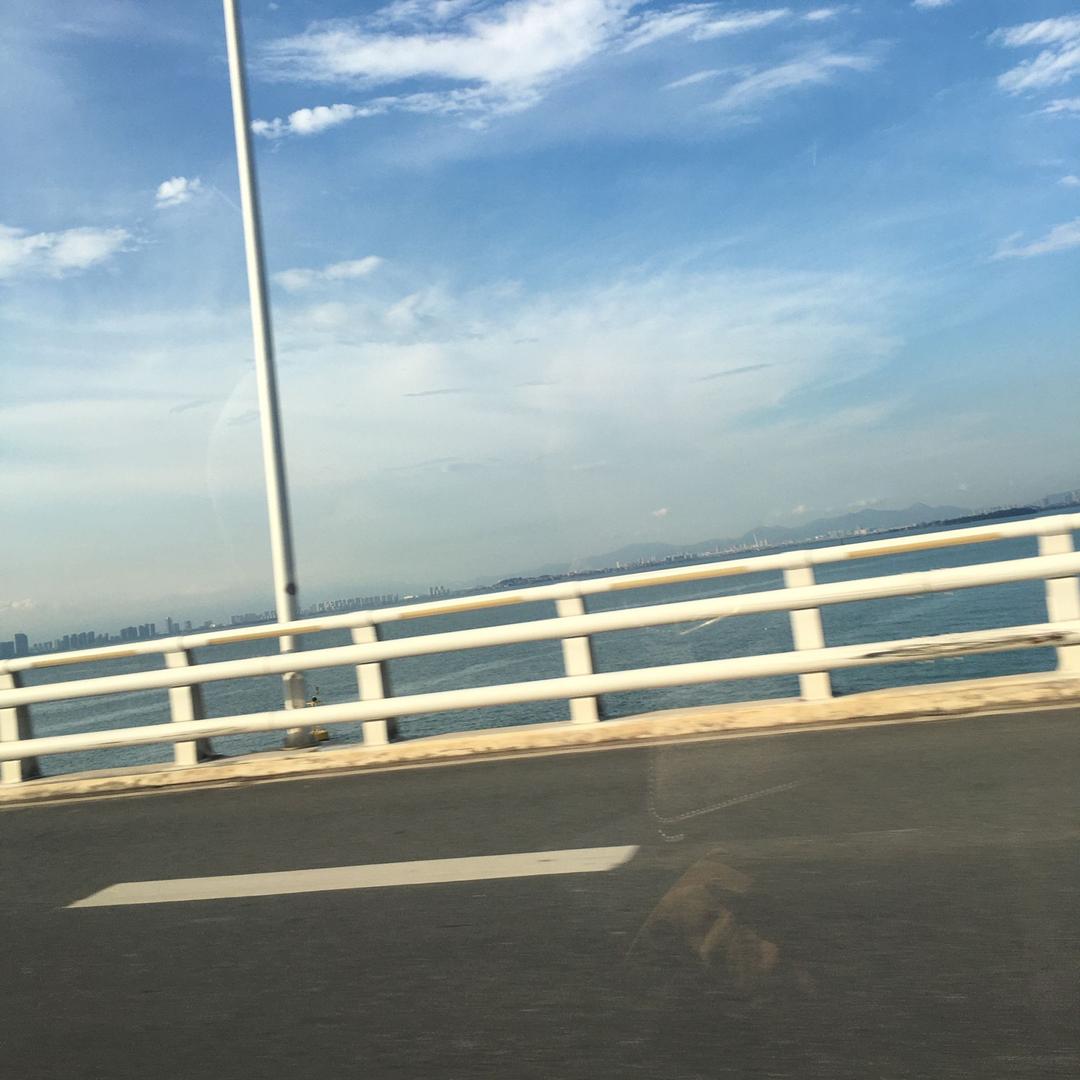 小yang