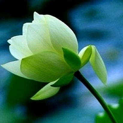 博弈🌻人生很贵，请别忘记