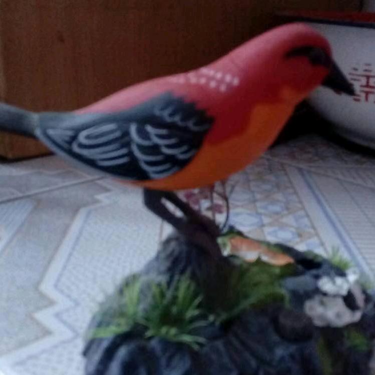 王杰