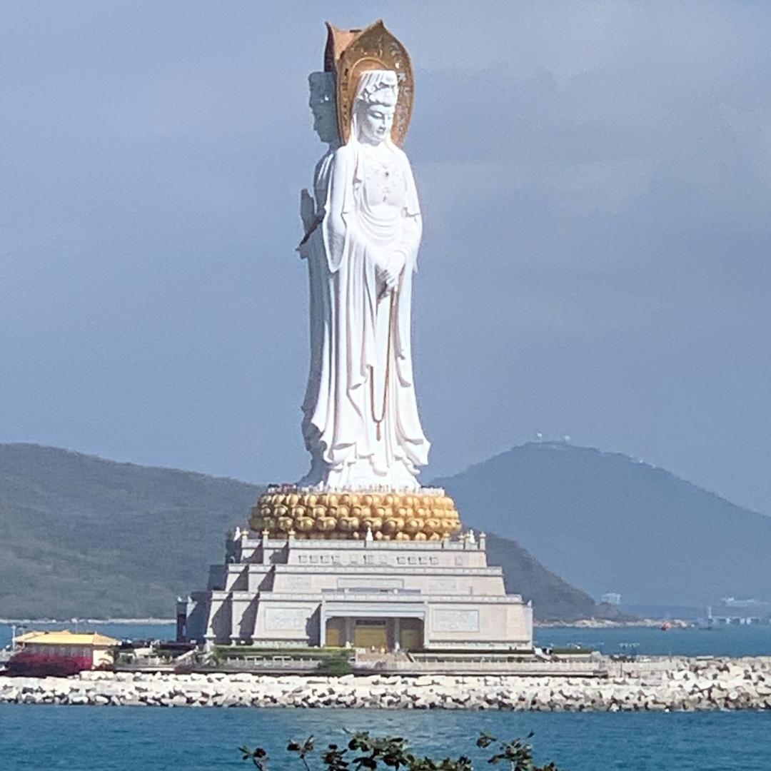 大貓