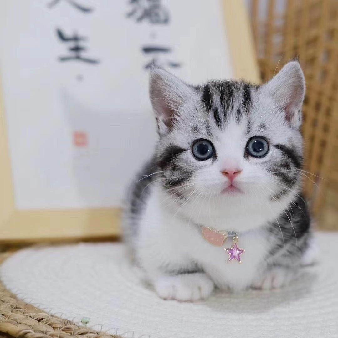 陆玖柒
