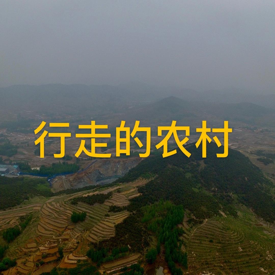 行走的农村（做实事）