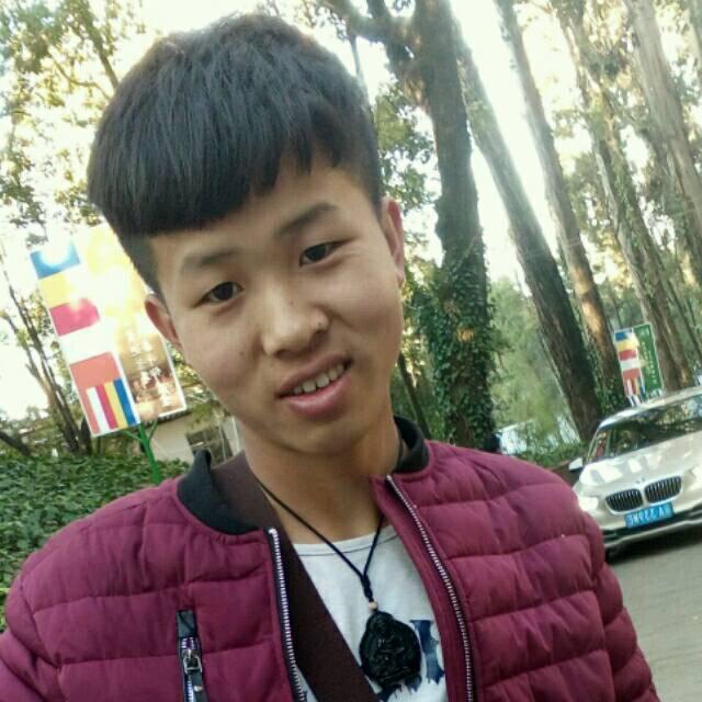 云南贡菜杭弟
