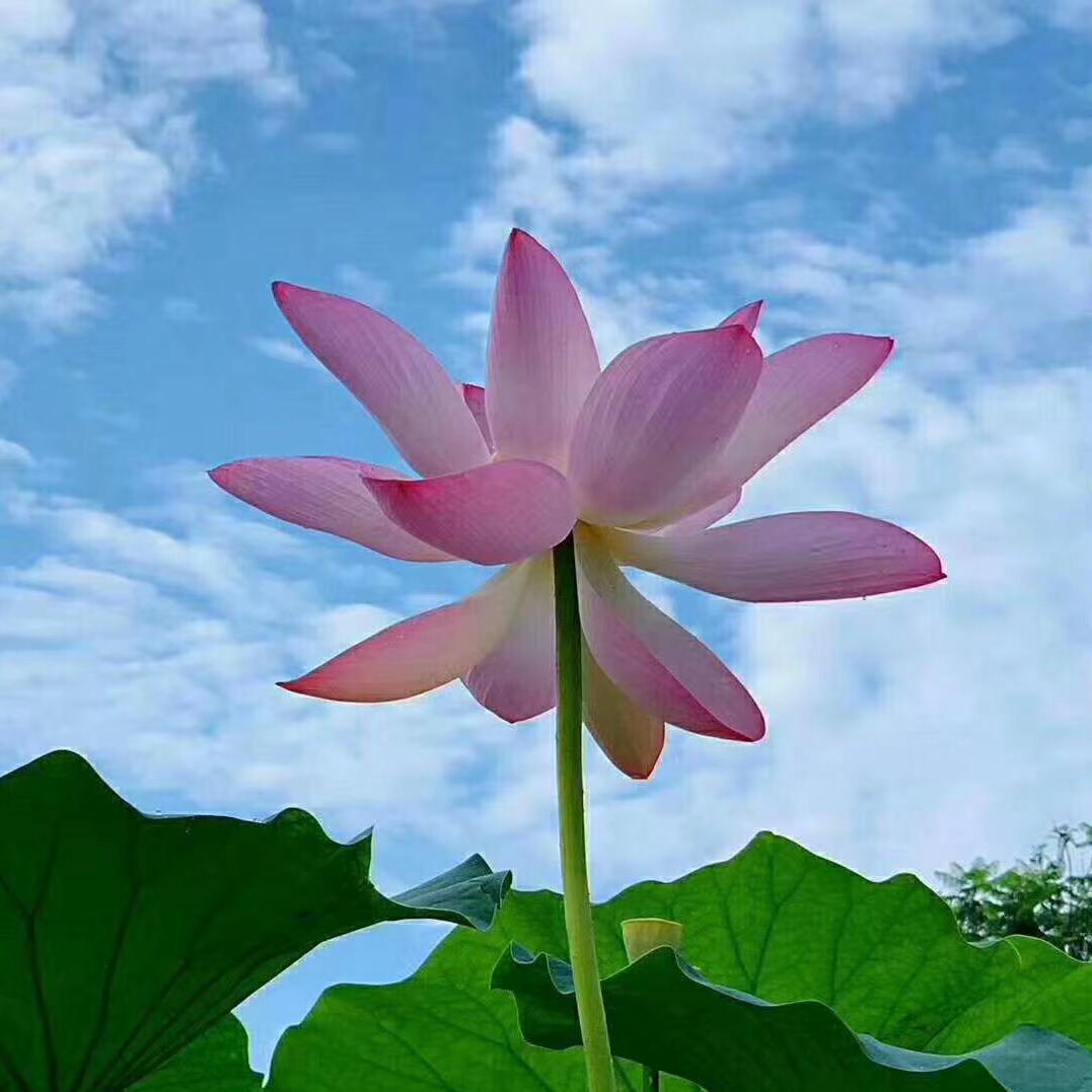 闽侯土菜院子