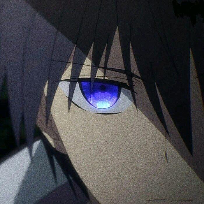 小蓬蓬蓬