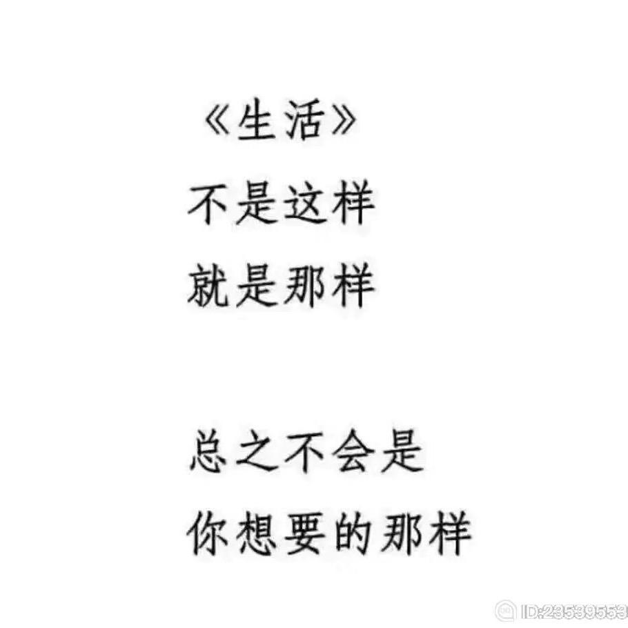 一介雕民