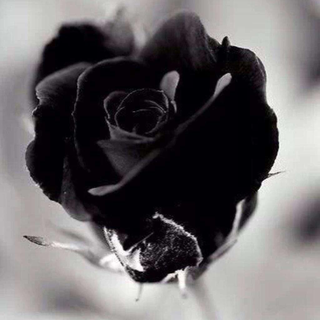 海那么苦，渔不甜