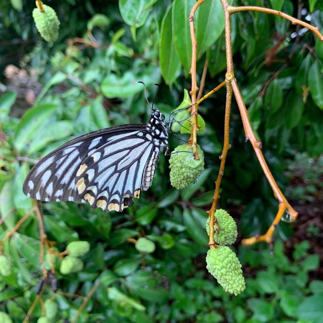 三江益农-鞠红平