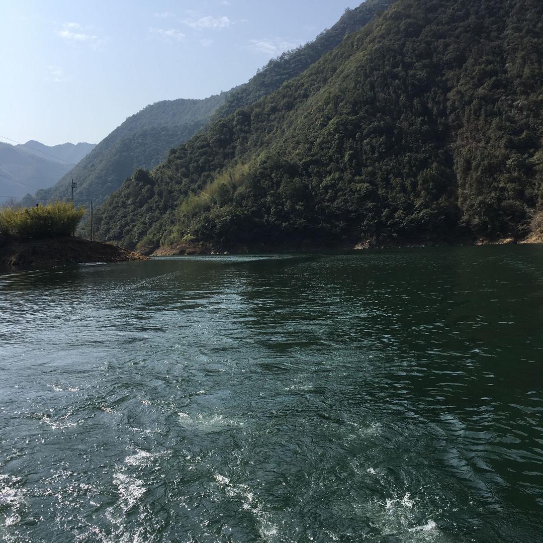 景宁方太专卖店吴徐英