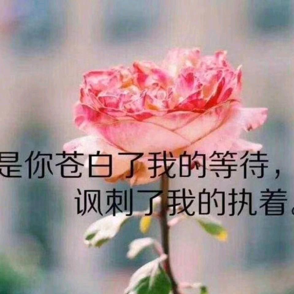 守望者
