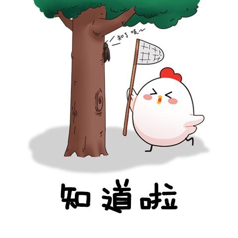 拥抱太阳的光芒