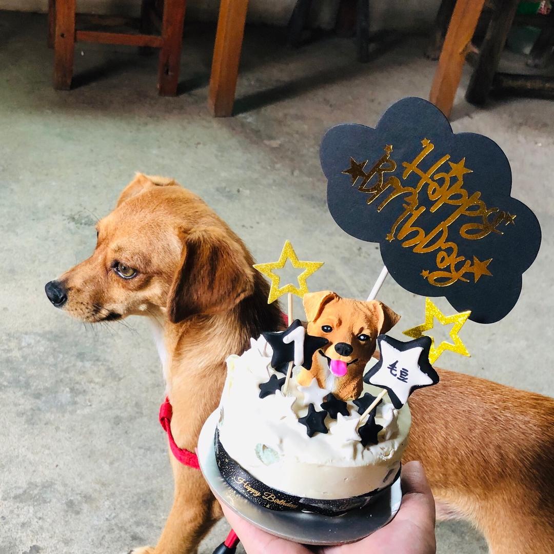 小陈陈～