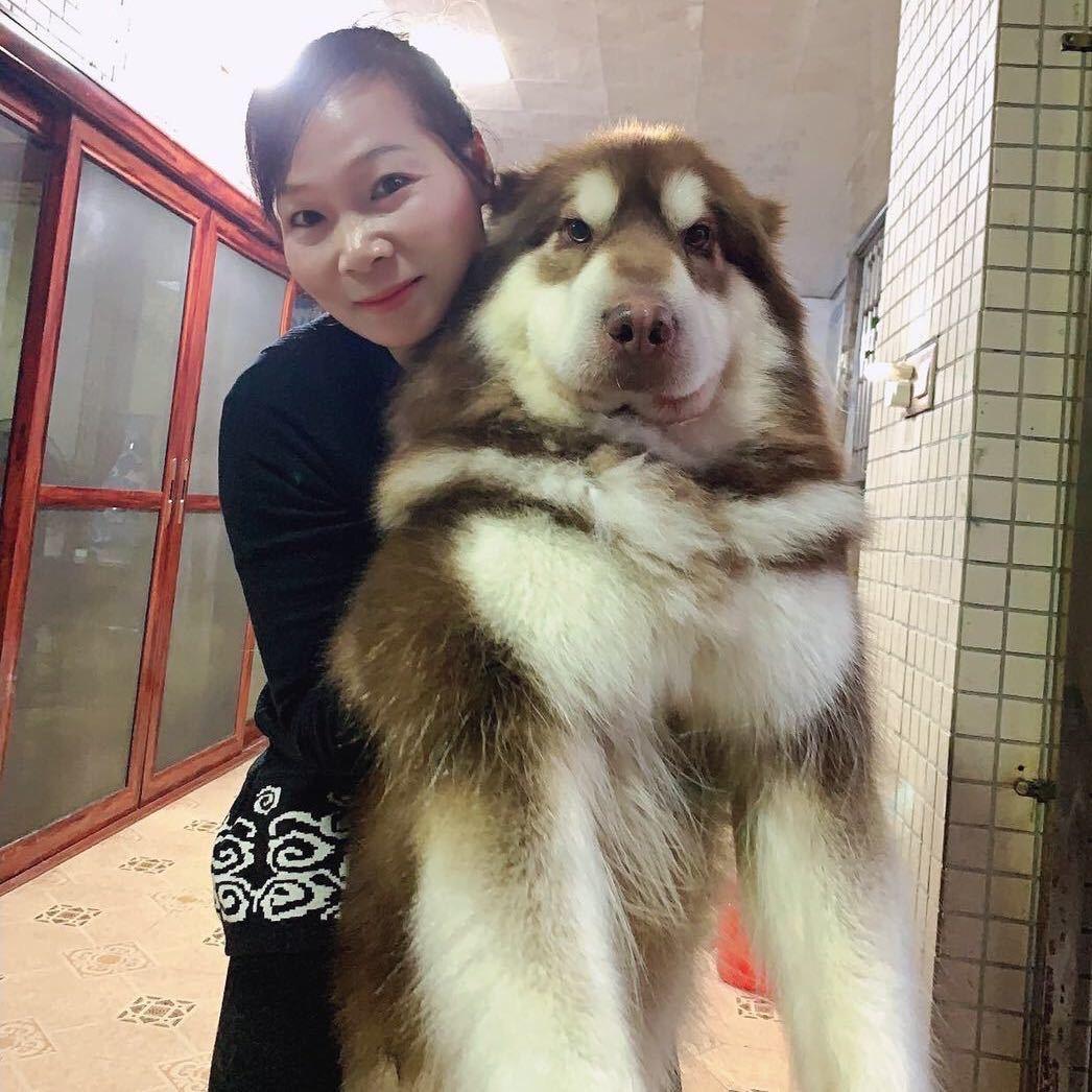 彩虹