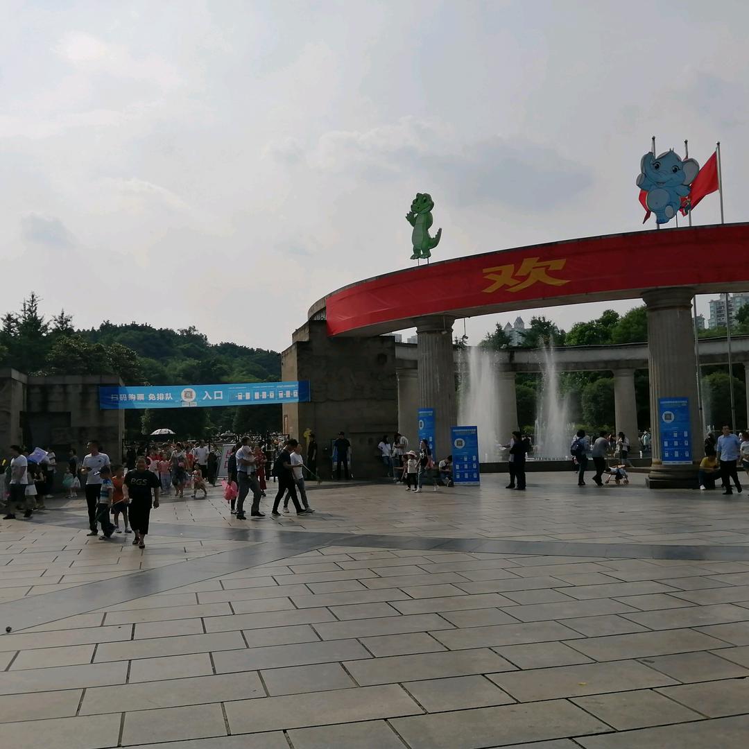 青叶止心