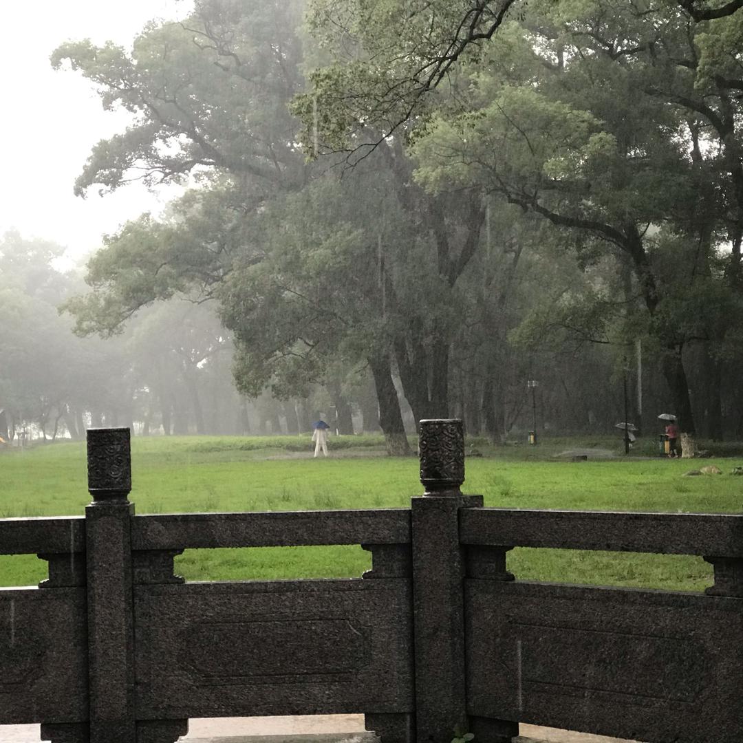 地瓜呀