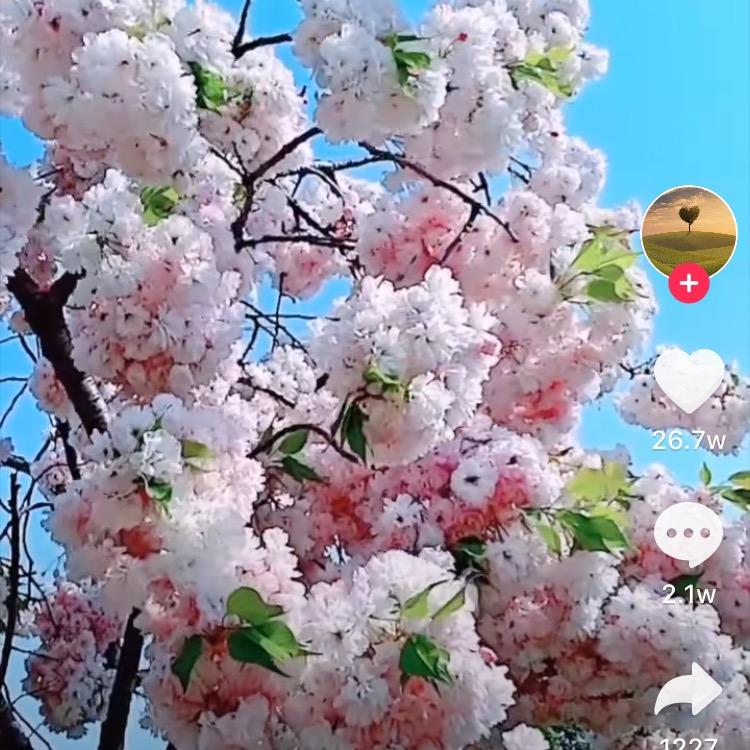 让心归零，快乐前行