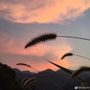 调调