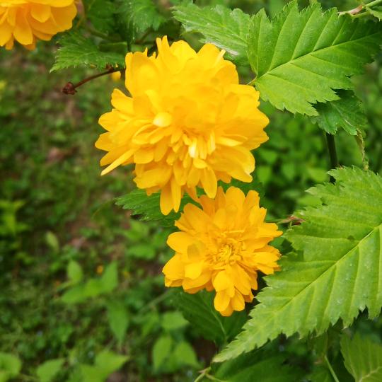 💅陈蒙代爱💋