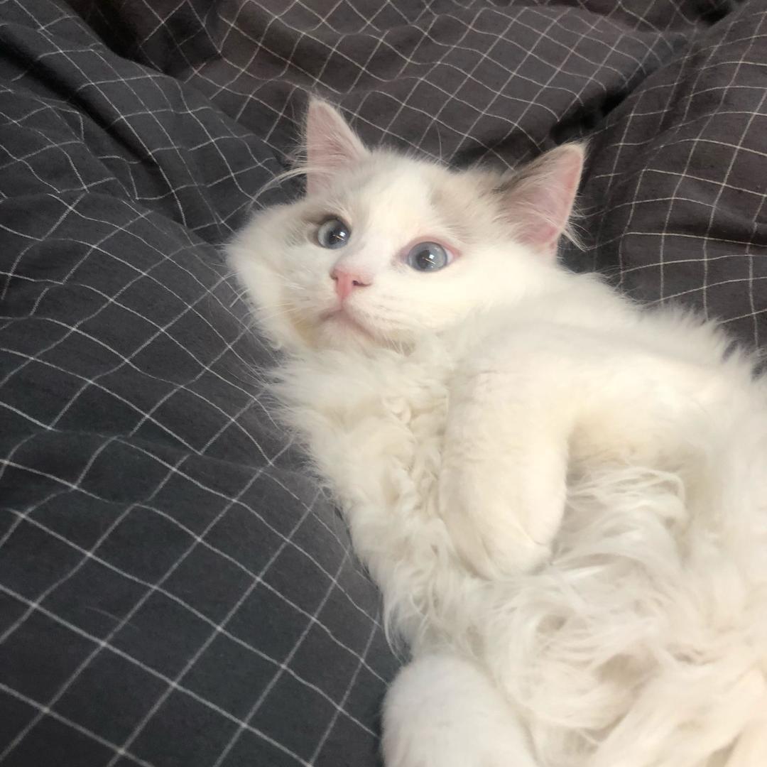 ⒈1