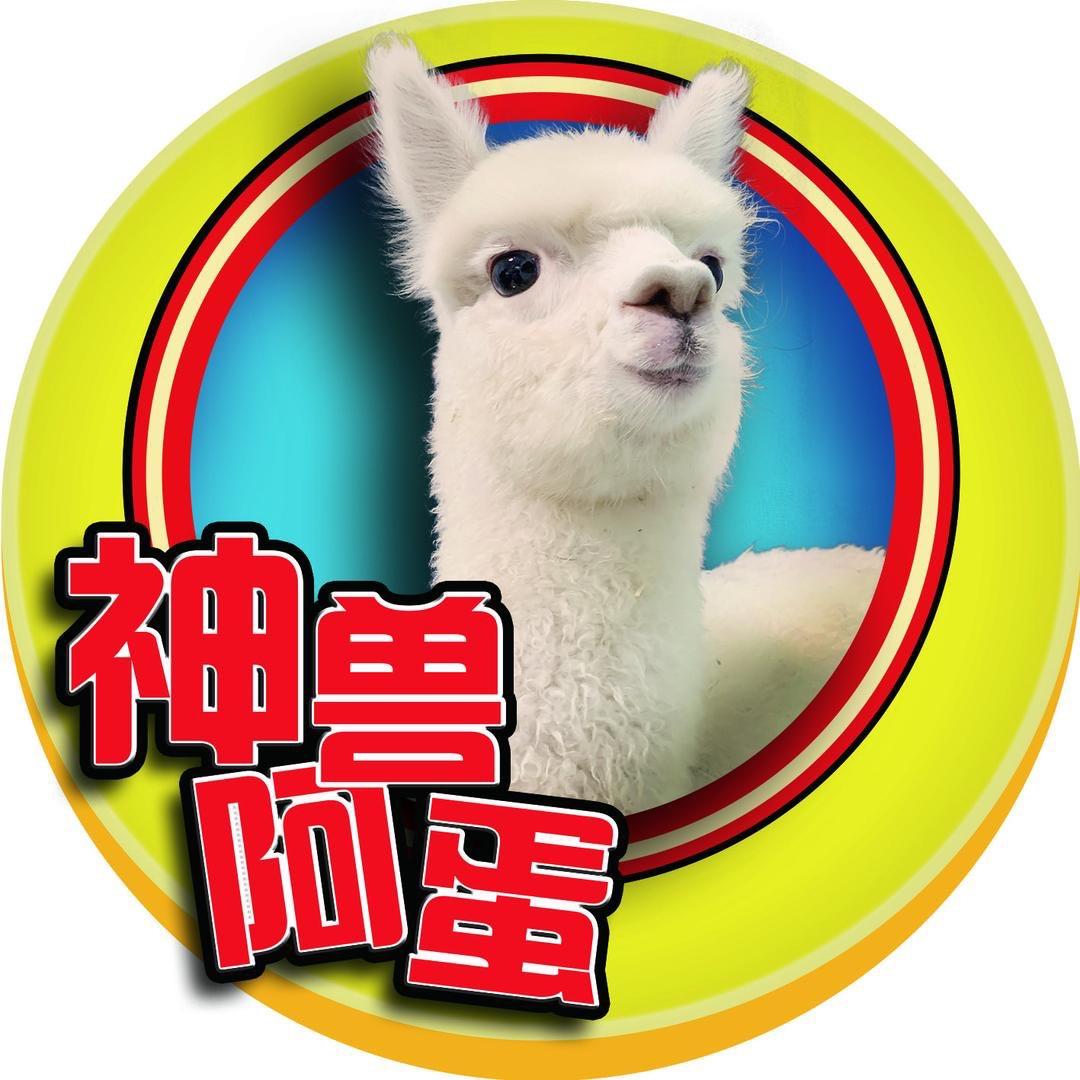 神兽阿蛋@抖音