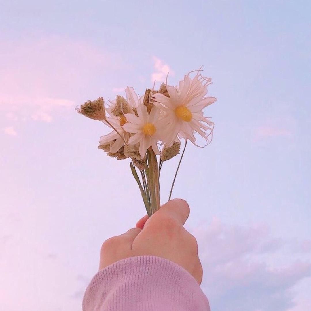 花纤秀