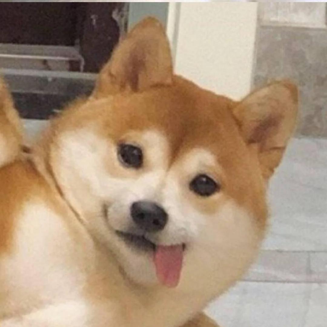 增益薯业