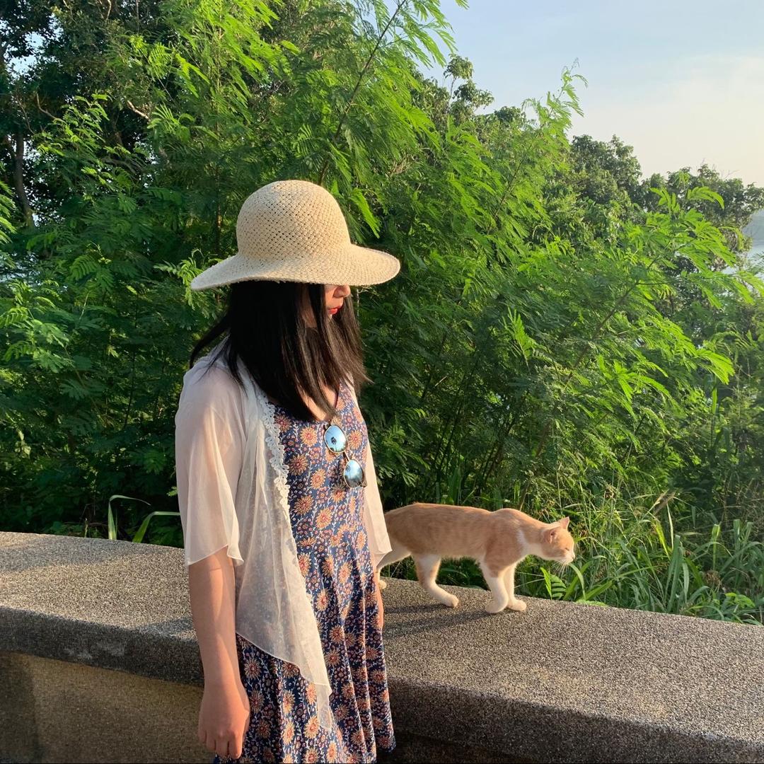 小饼遇见猫@抖音