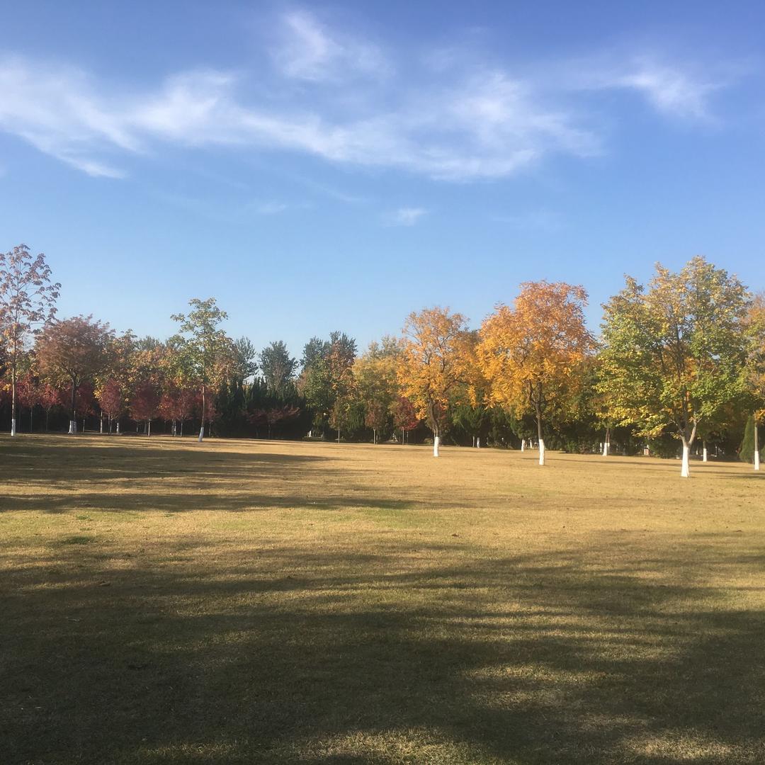 章丘书文驾校吕教练