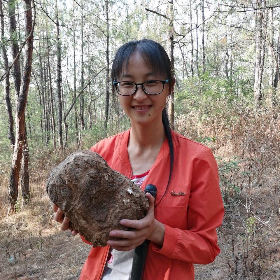 草根八百味