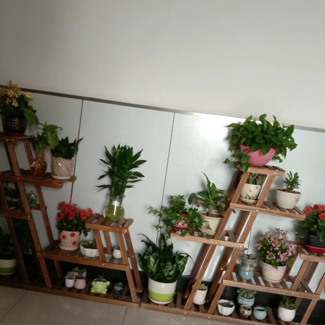 新的一年