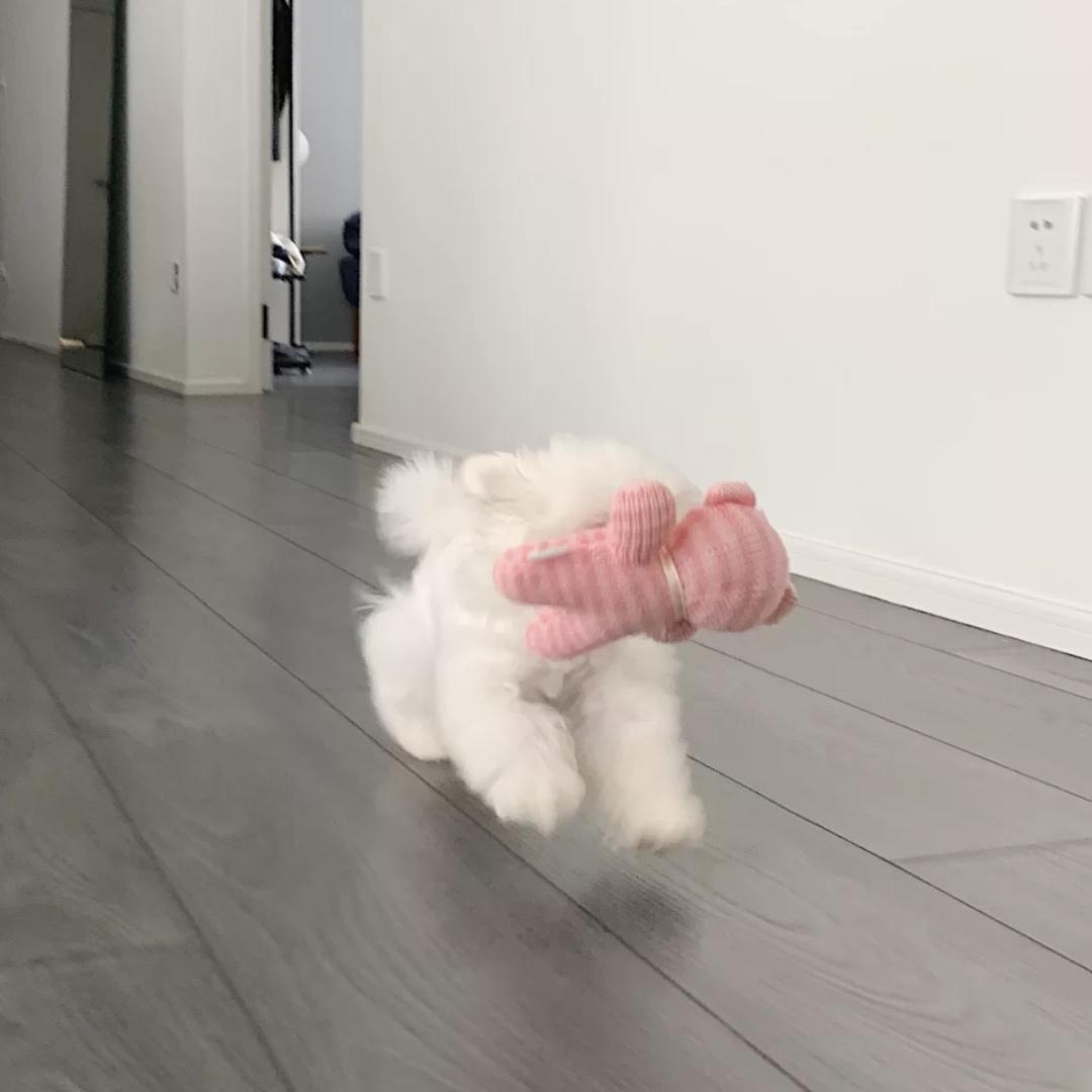 小程不是小陈也不是小成