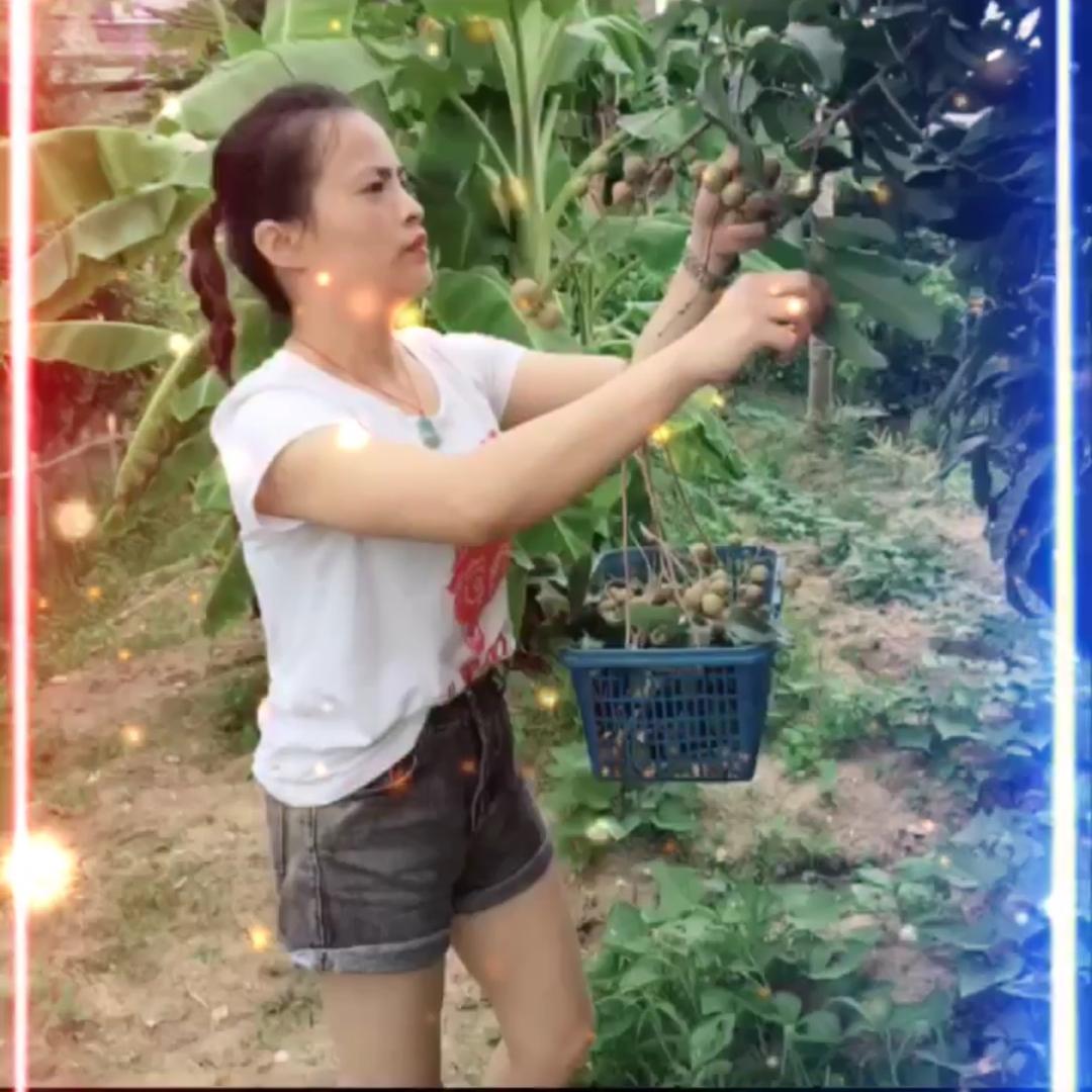 JUANJIE