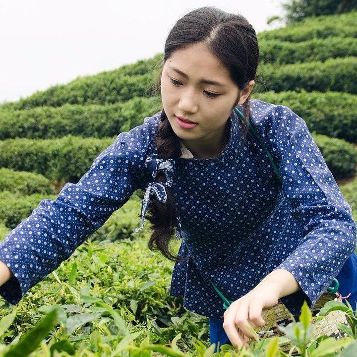 徽奉礼腊手艺