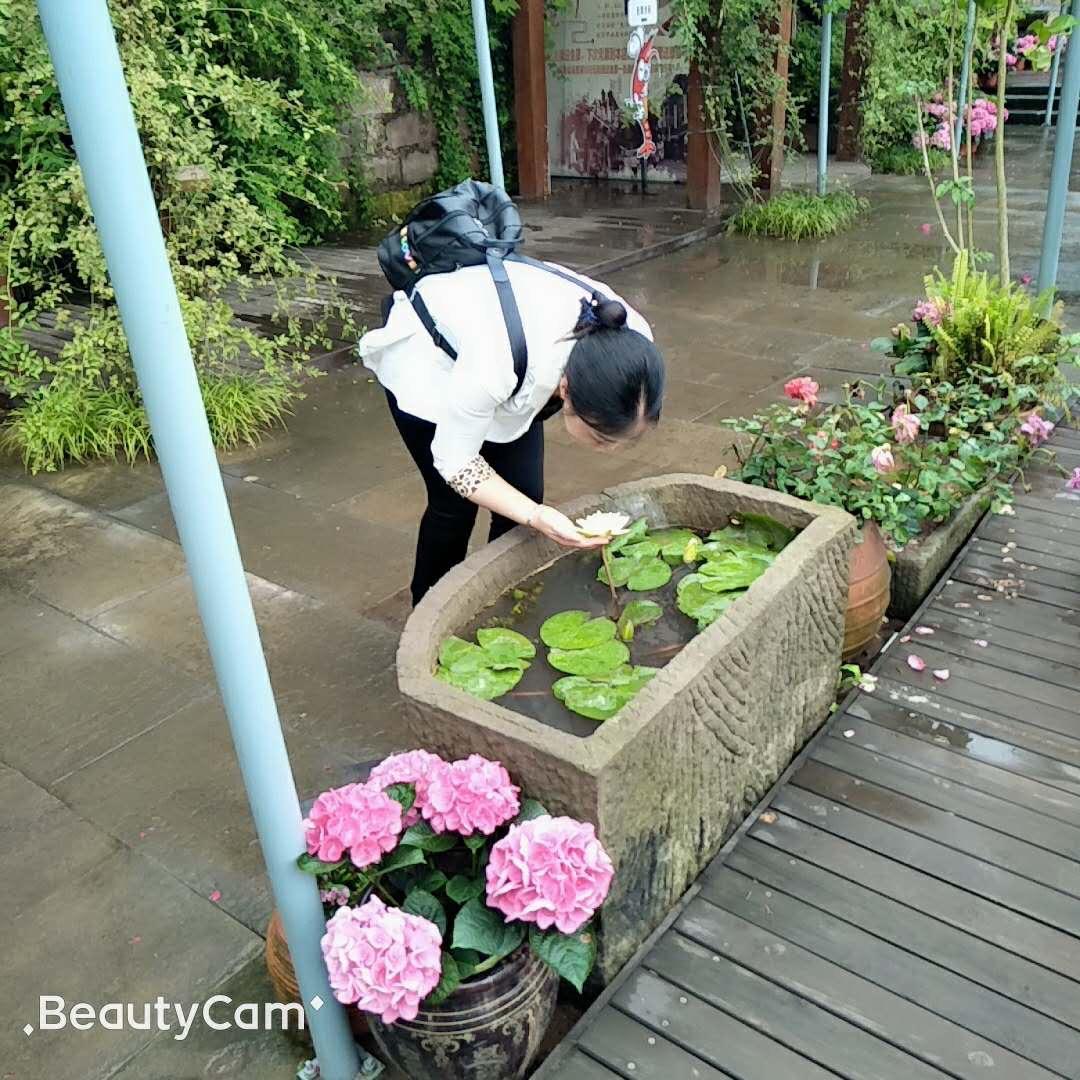老爱