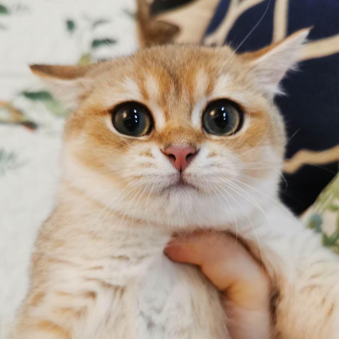 维尼酱~