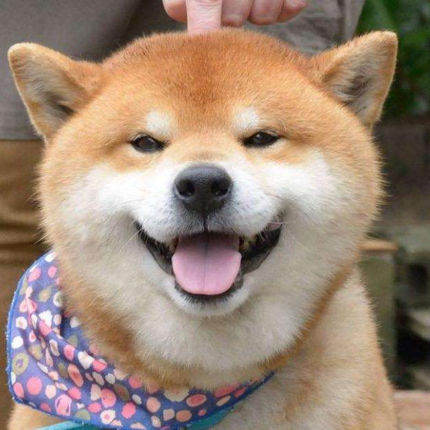 贱贱剪辑（互相关注）